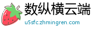 数纵横云端